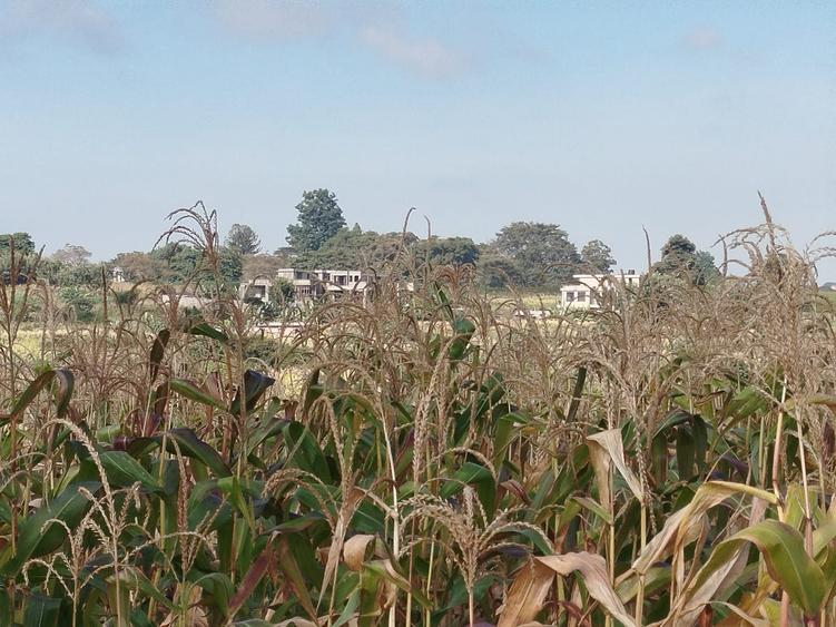 Residential Land in Kiambu Town Residential Land in Kiambu Town