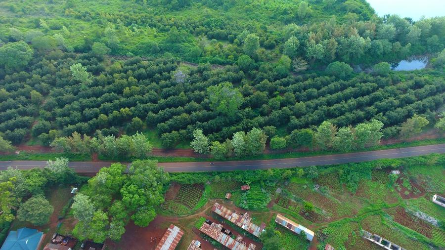 0.5 ac Commercial Land at Juja Gatundu Road Touching The Tarmac