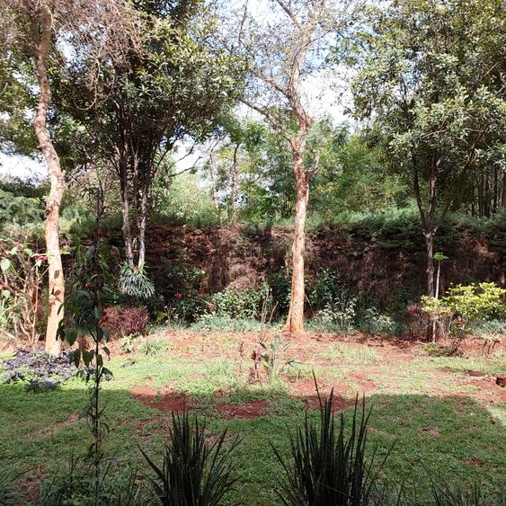 5 Bed House with En Suite at Mimosa Road - Ansicht 2