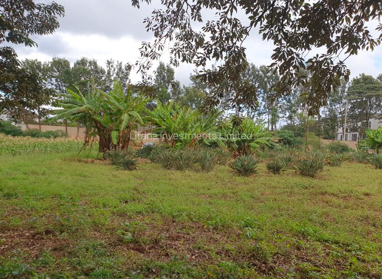 0.25 ac Land at Runda Paradise