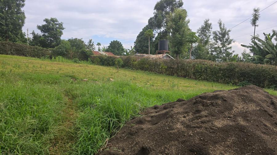 0.5 ac Land in Ruaka