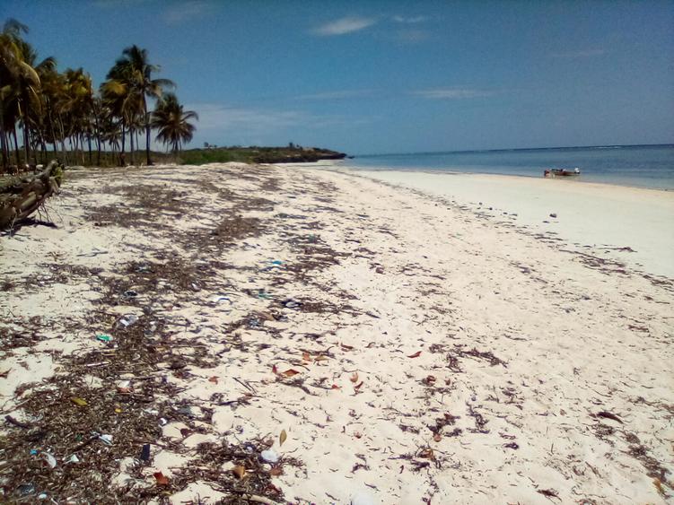 Land at Kikambala Beach