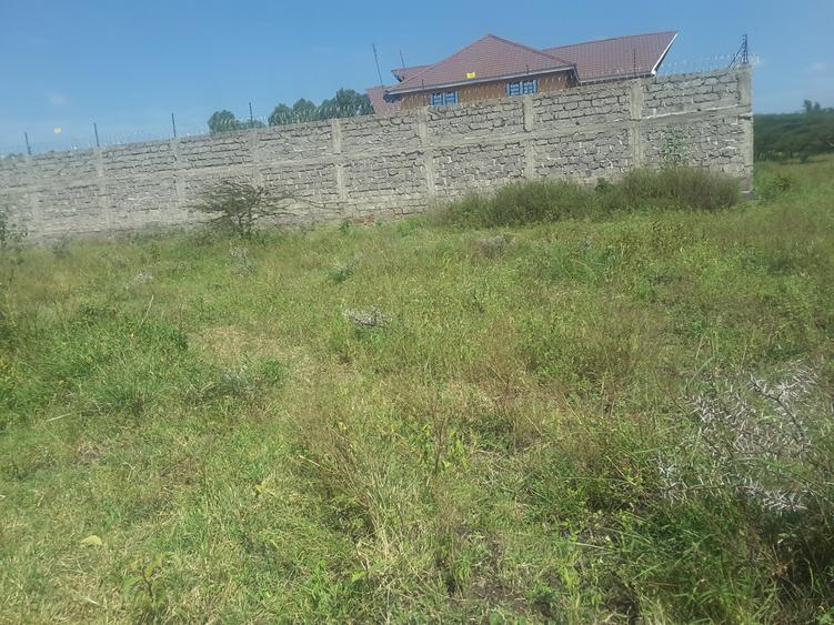 0.25 ac Residential Land in Ongata Rongai