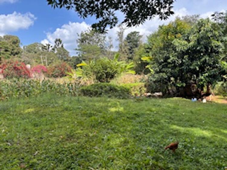 0.5 ac Residential Land in Nyari