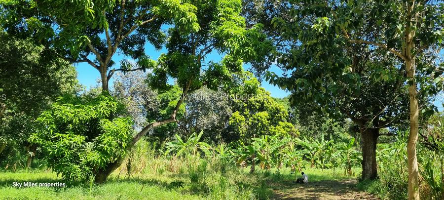 25 ac Land at Mtwapa
