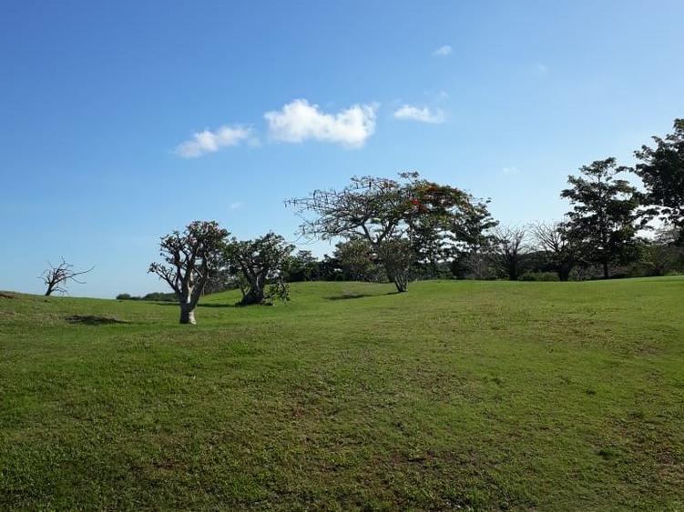 3,035 m² Land at Vipingo