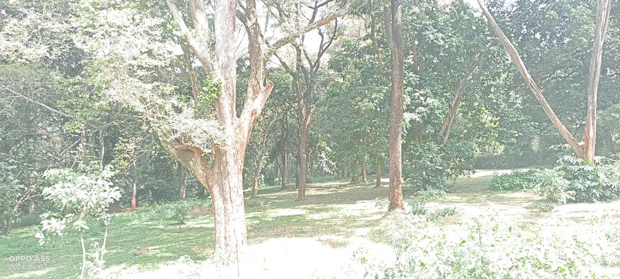 2.00 ac Land in Runda