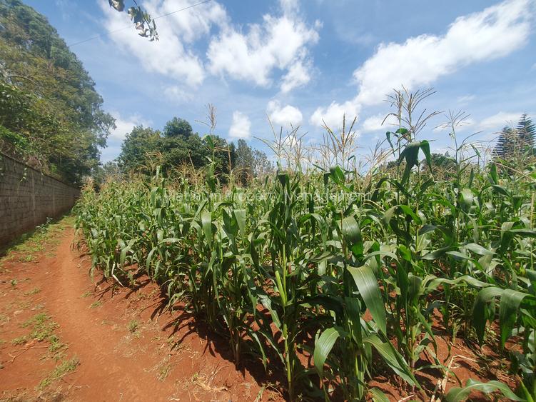 0.5 ac Residential Land in Runda