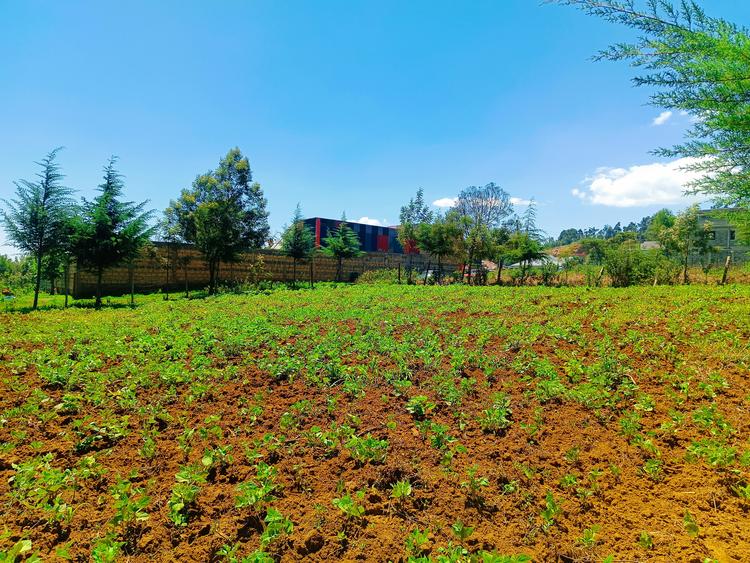 500 m² Residential Land at Runana Area