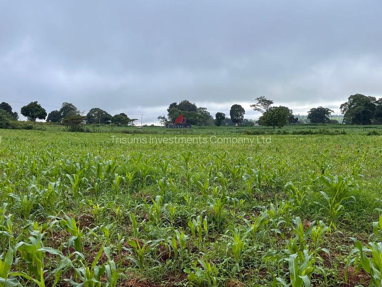3.7 ac Land at Kiambu