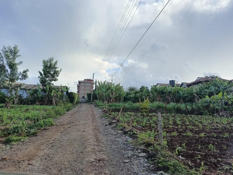 Residential Land at Ruaka