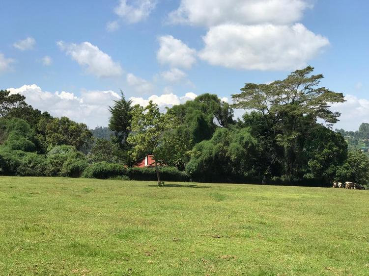 21 ac Land in Tigoni 21 ac Land in Tigoni