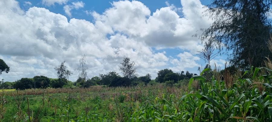 1.8 ac Land at Animo Mtwapa