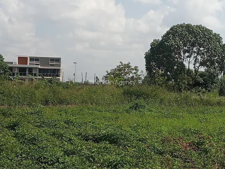 Residential Land in Tatu City
