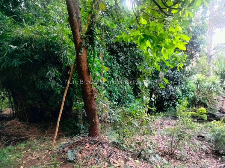 0.55 ac Land in Kilimani
