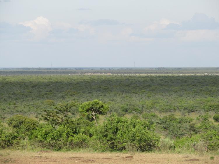 563 ac Land at Mutara