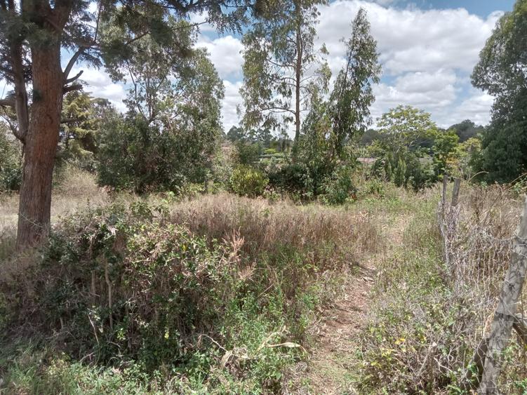 Residential Land at Upper Matasyia