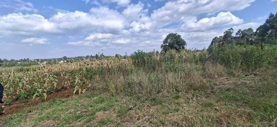 0.125 ac Land in Kamangu - Ansicht 4