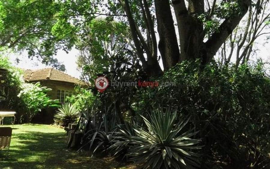 Commercial Land at Lavington