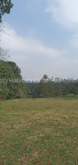 0.5 ac Residential Land in Tigoni