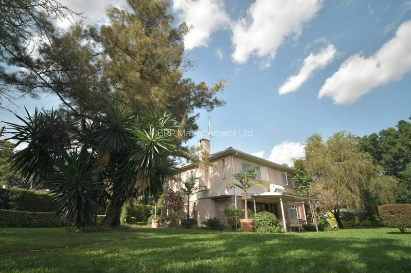 0.47 ac Commercial Property with Parking at Mucai Drive