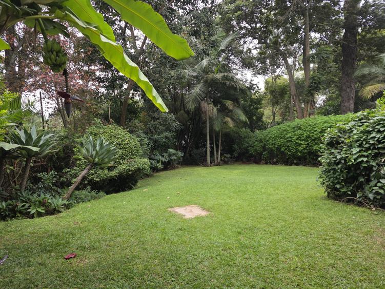 3 Bed House with En Suite in Muthaiga - Widok 3