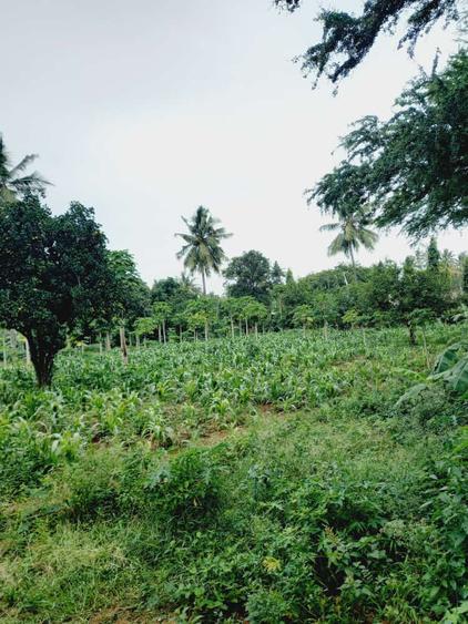 1 ac Land in Mtwapa