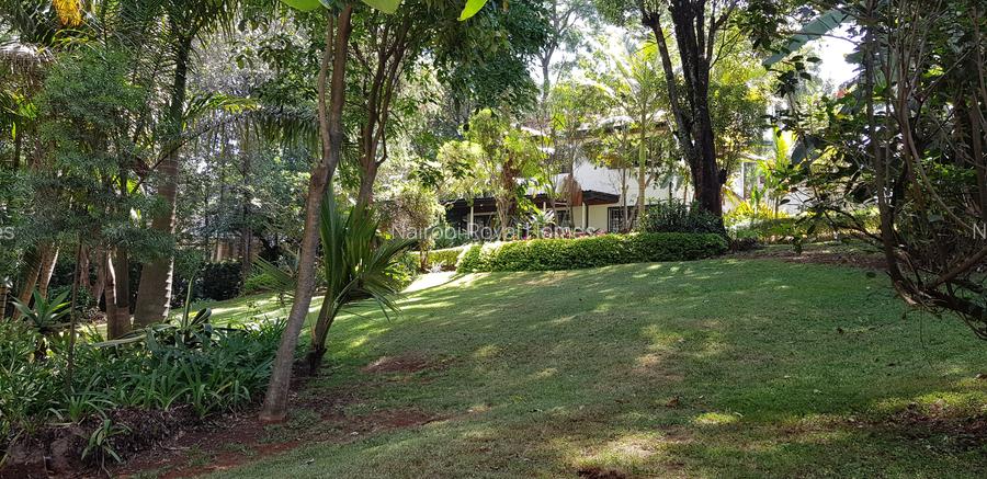 Residential Land at Riara Road