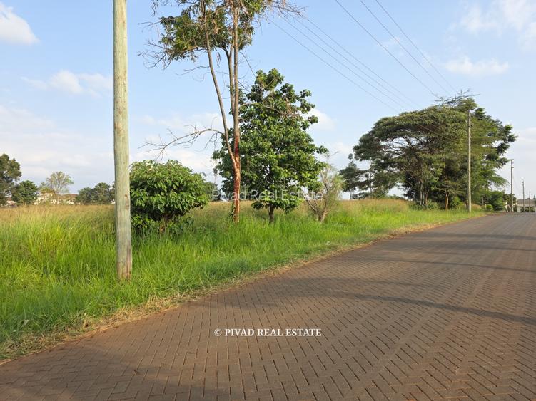 5 ac Land in Runda