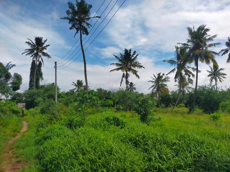 Land in Kikambala