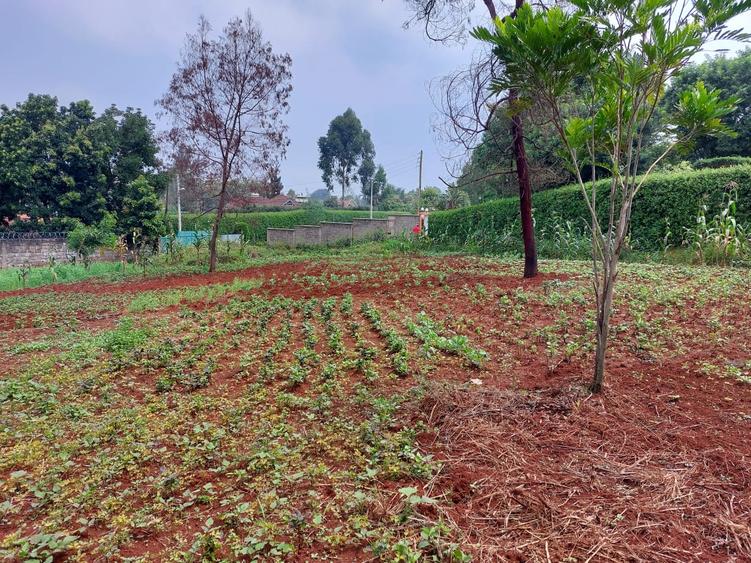 Residential Land at Pan African Insurance Avenue