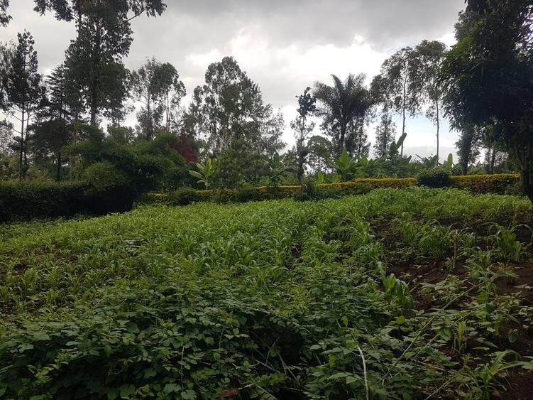 1.25 ac Land in Ngong