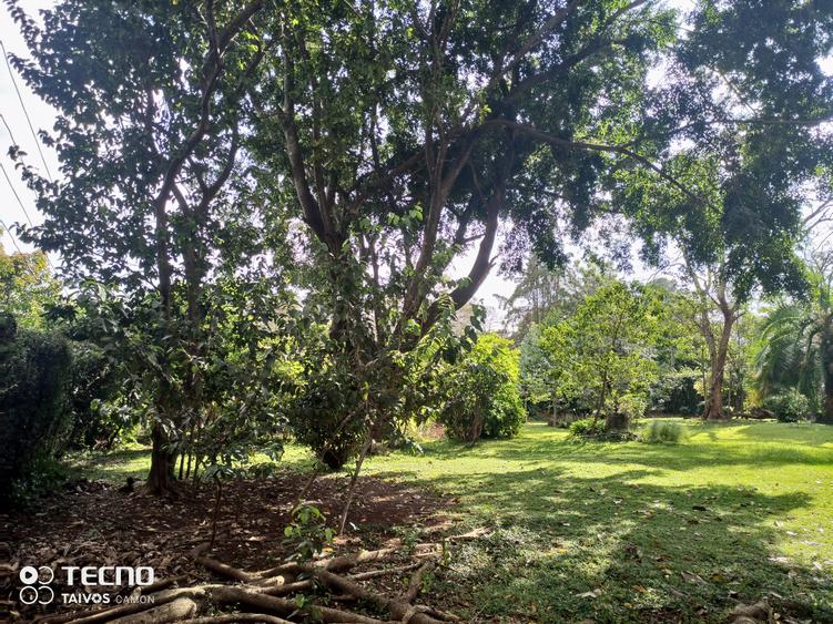 0.5 ac Residential Land at Runda Ridge