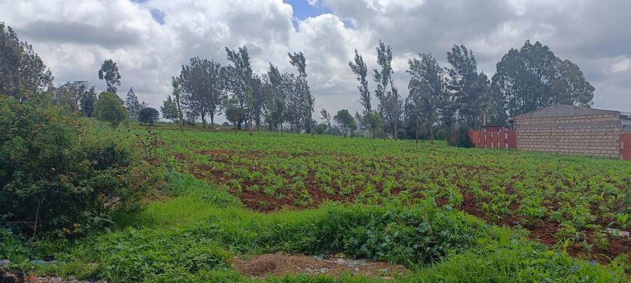 0.05 ha Residential Land at Kikuyu Kamangu Ruthigiti 0.05 ha Residential Land at Kikuyu Kamangu Ruthigiti