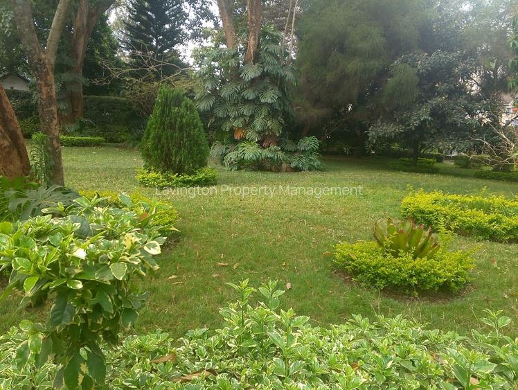 0.88 ac Land at Olengurueni