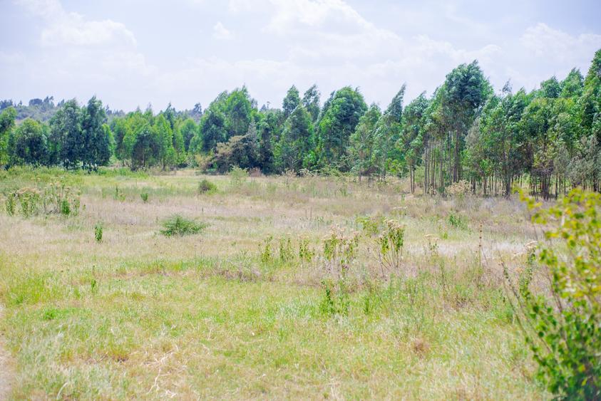 Land in Gikambura Land in Gikambura
