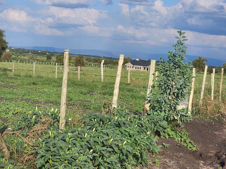 0.045 ha Land at Enkasiti Paradise Kitengela