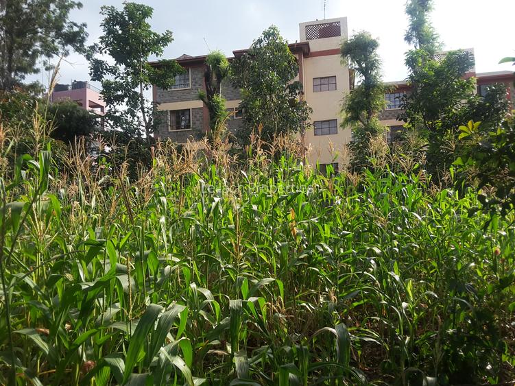 0.113 ac Commercial Land in Ongata Rongai