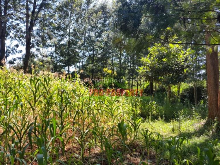 1,000 m² Residential Land in Kikuyu Town