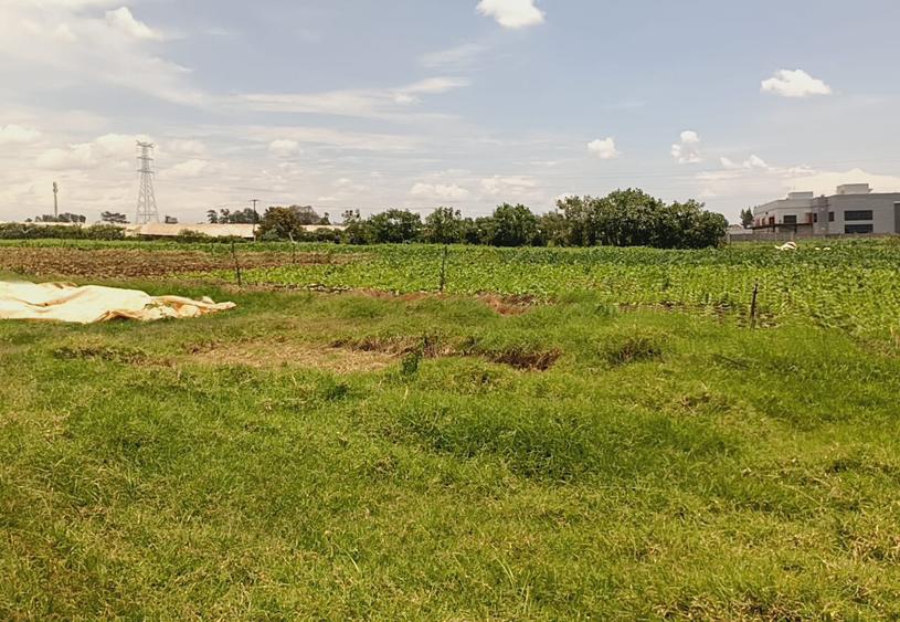 Commercial Land in Redhill