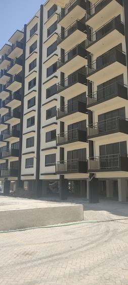 3 Bed Apartment with En Suite in Syokimau