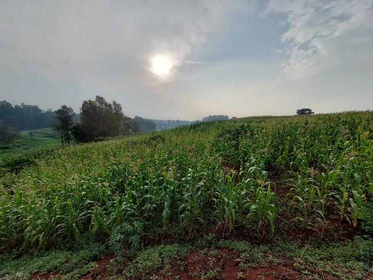 Land at Kitisuru Road