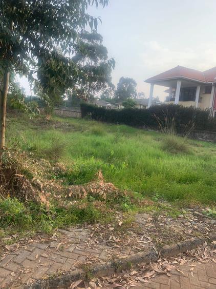 0.25 ac Land at Runda Mhasibu Estate