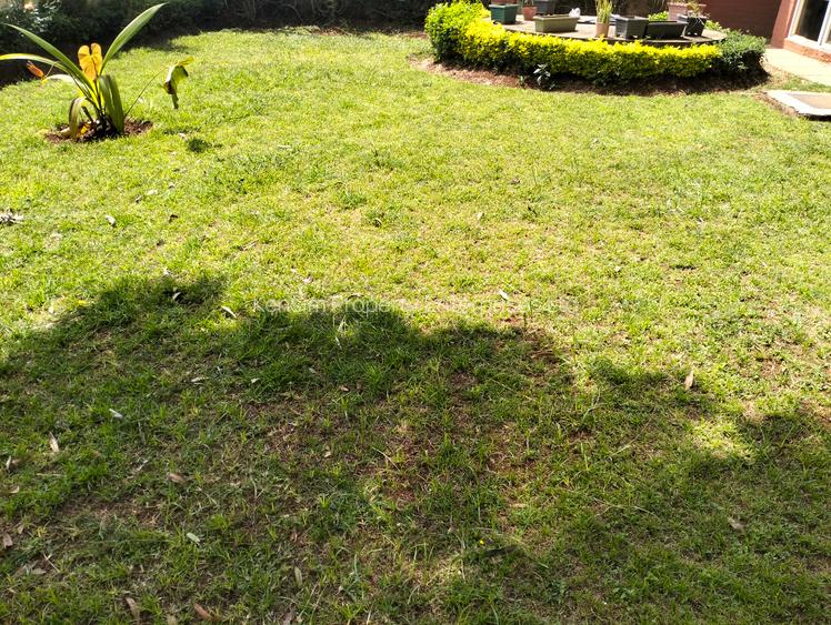 5 Bed Townhouse with En Suite in Lavington