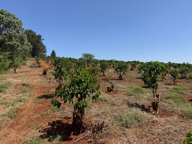 Land in Tatu City - Widok 3