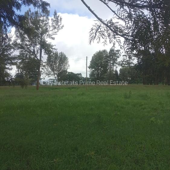 1 ac Residential Land in Rironi