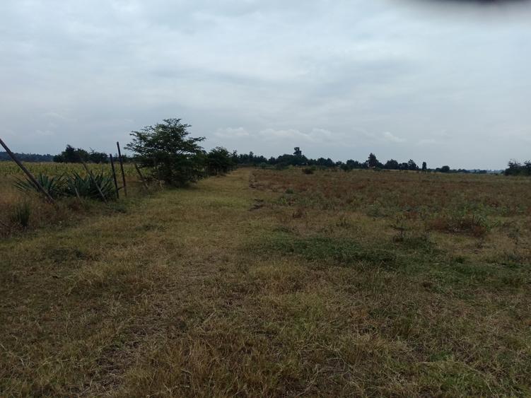 Land at Mwea