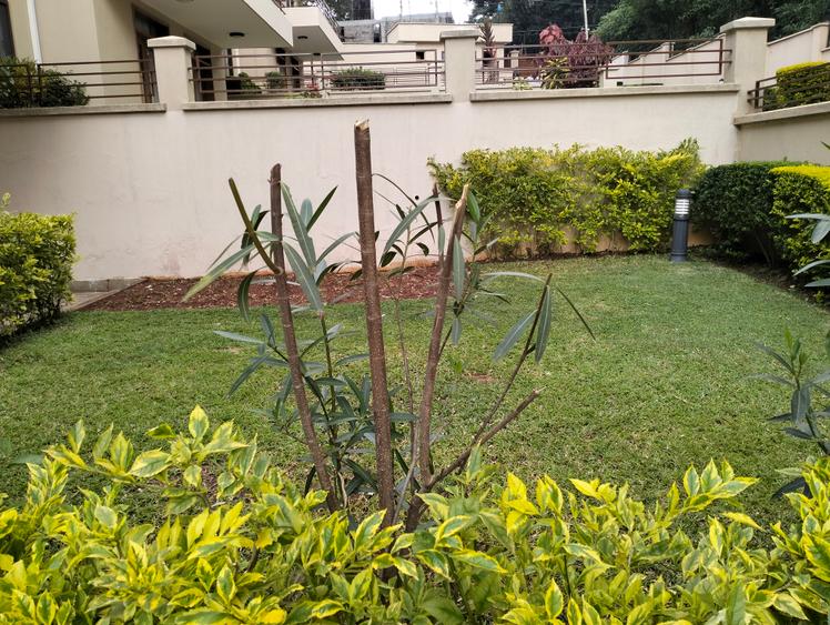 5 Bed Townhouse with En Suite in Lavington - Widok 5