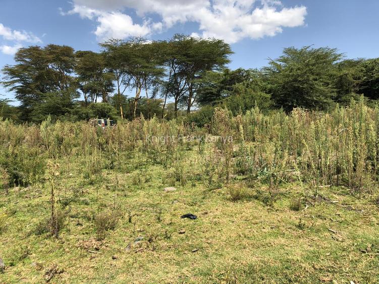 139 ac Land in Naivasha