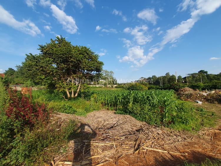 1.25 ac Land in Nyari